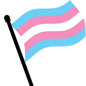 Flag trans File:Black trans