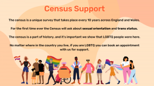 Graphic advertising census support. Peach background with text. Underneath the text there is a row of people holding various LGBT flags and symbols.