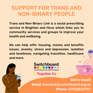 Trans Link poster