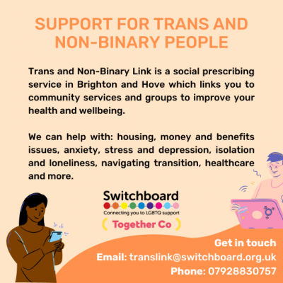 Trans Link poster