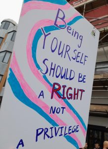 A protest sign that says "Being yourself should be a right not a privilege". The Trans Pride colours swirl behind the text.