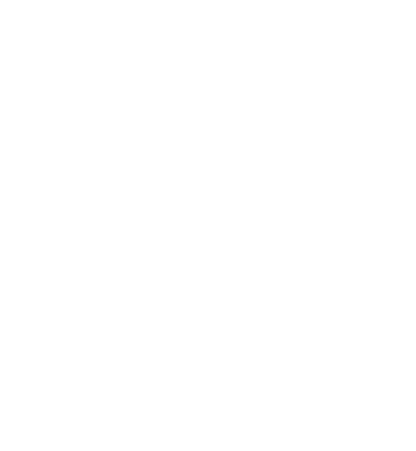 University of Sussex logo